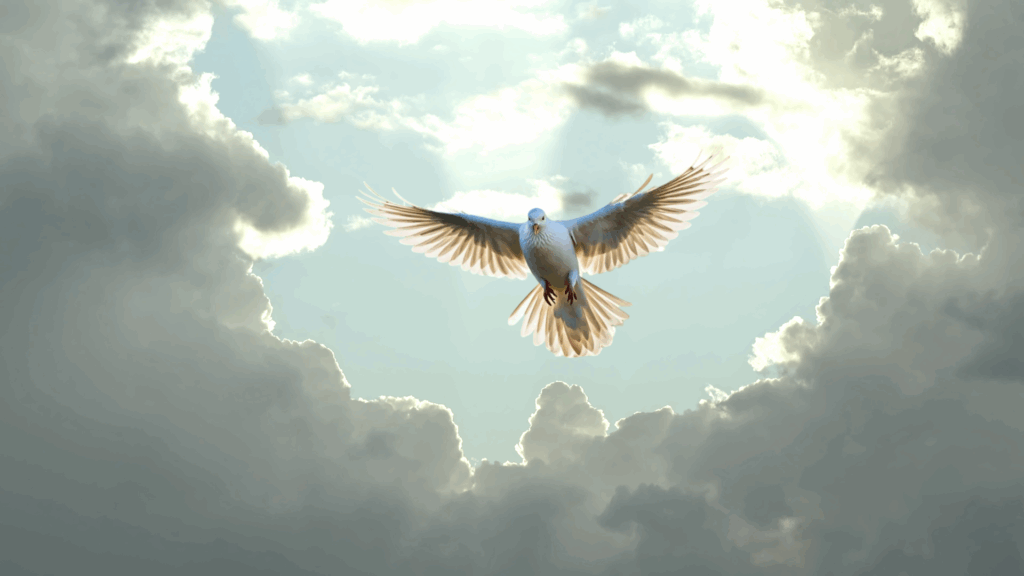 Dennis Jerrold Sullivan, Jr Obituary