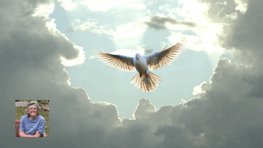 Sherry Edwards Obituary